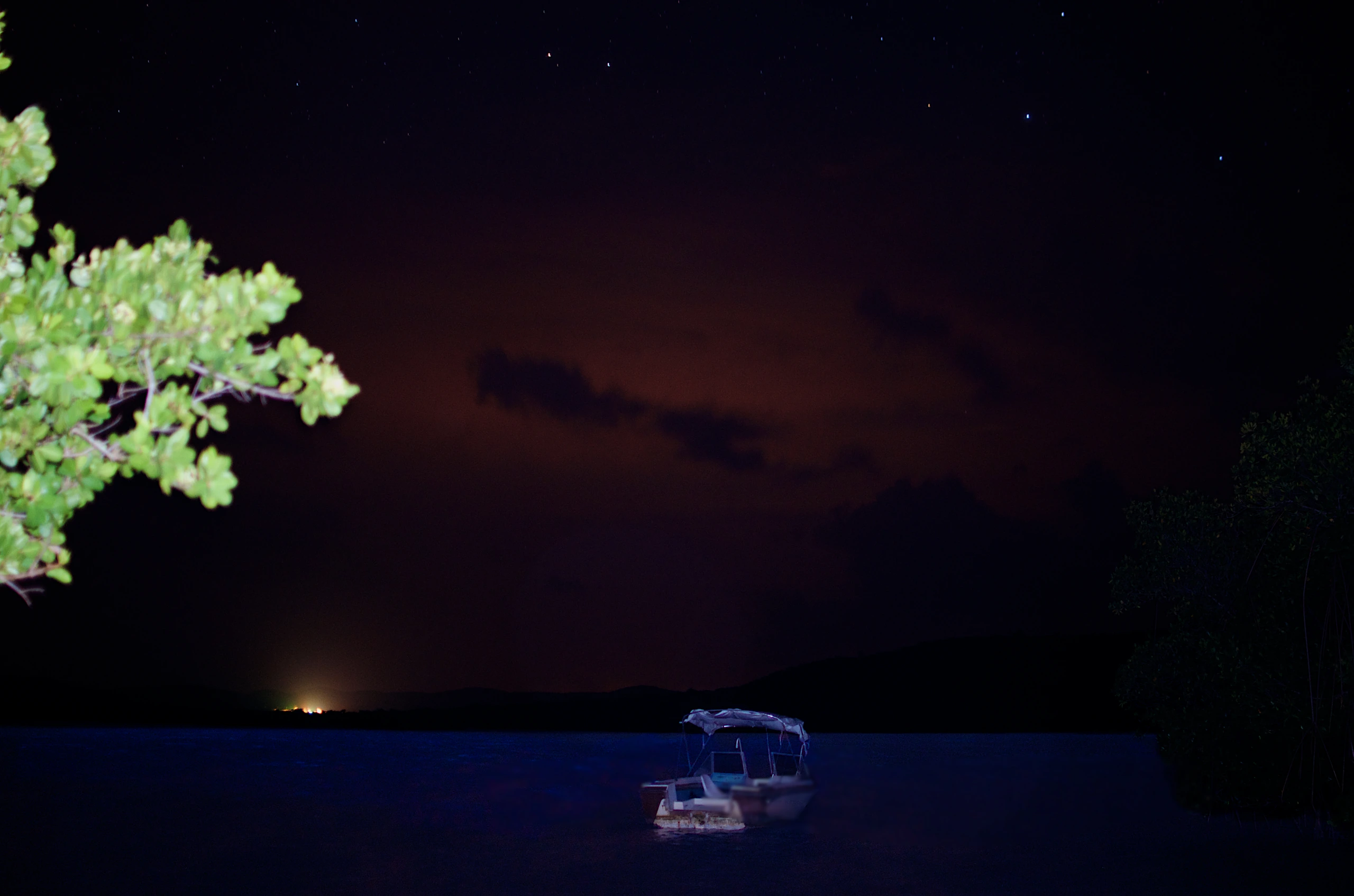 Bioluminiscens i Mosquito Bay, Puerto Rico