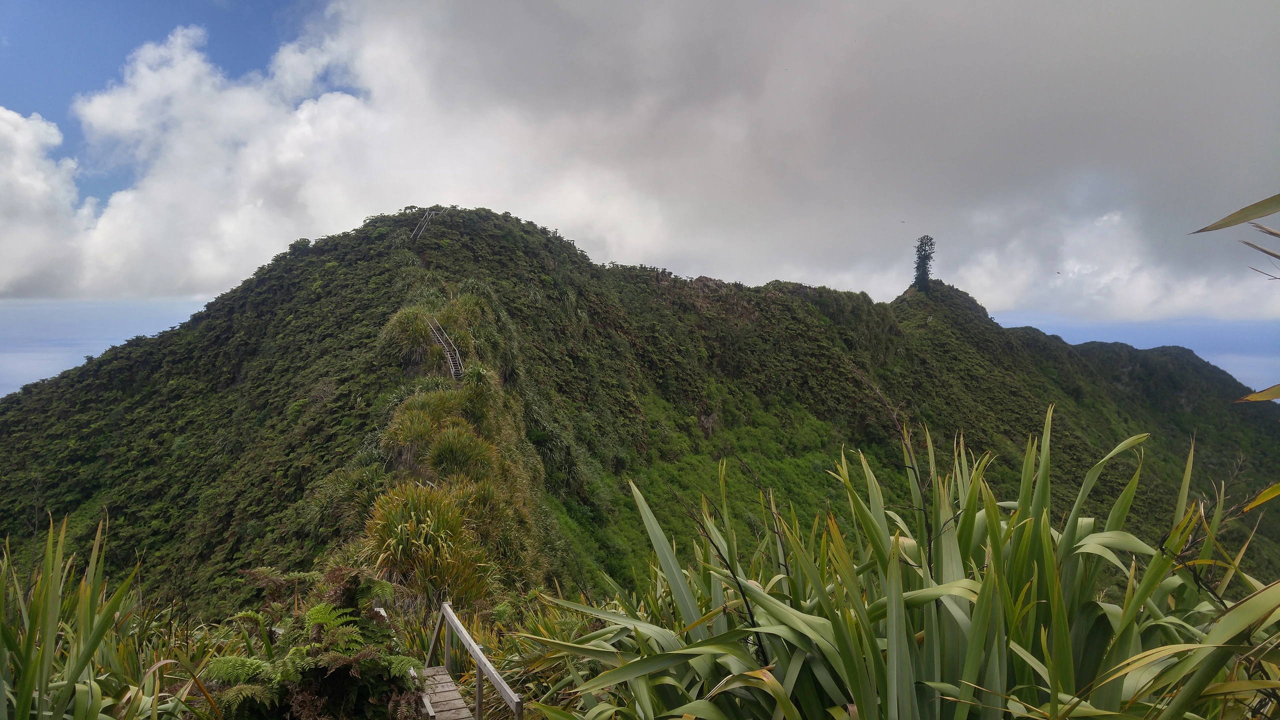 Diana's Peak och Cuckold's Point, Sankta Helena, Ascension & Tristan da Cunha