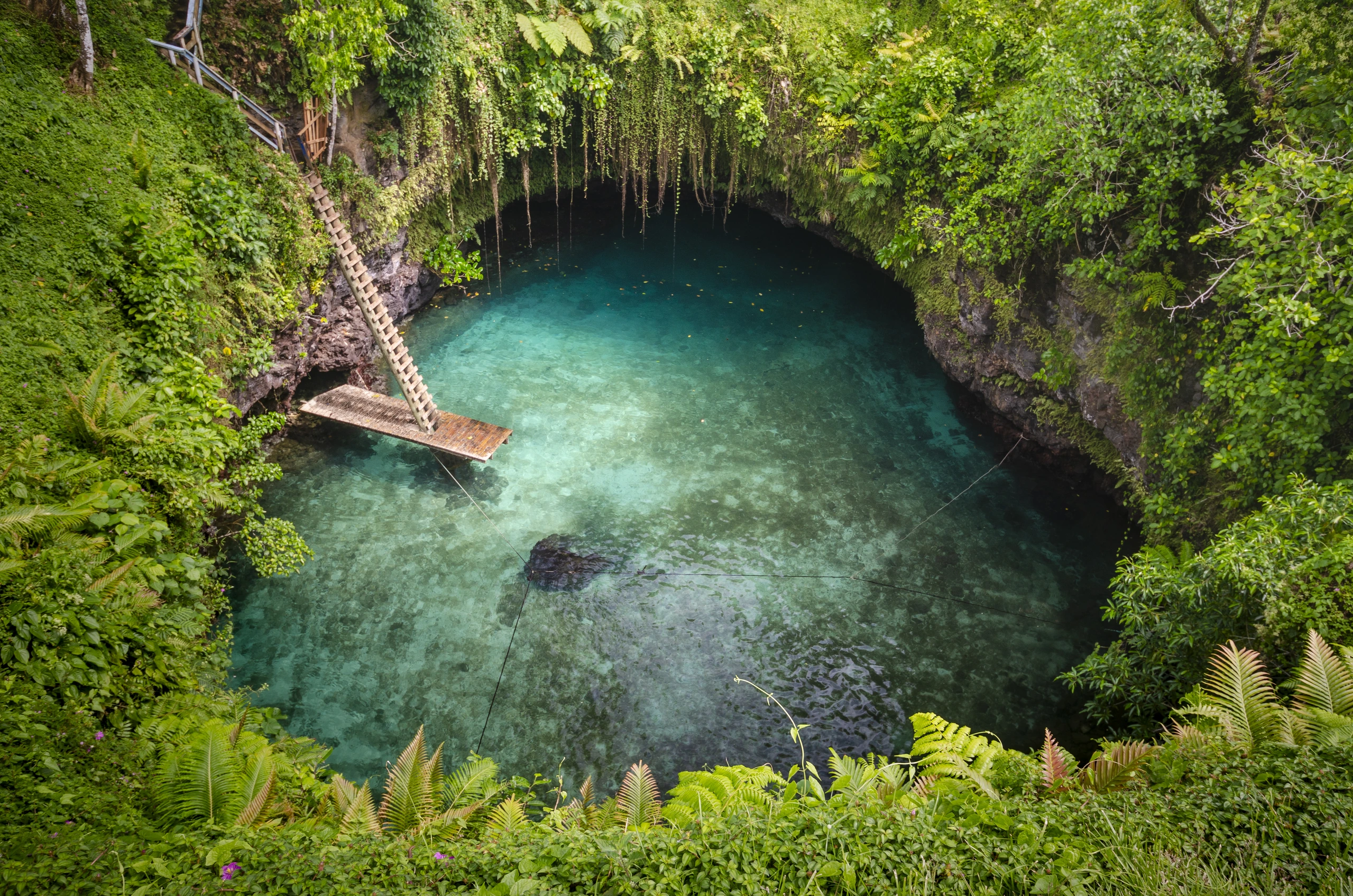 To Sua Trench, Samoa