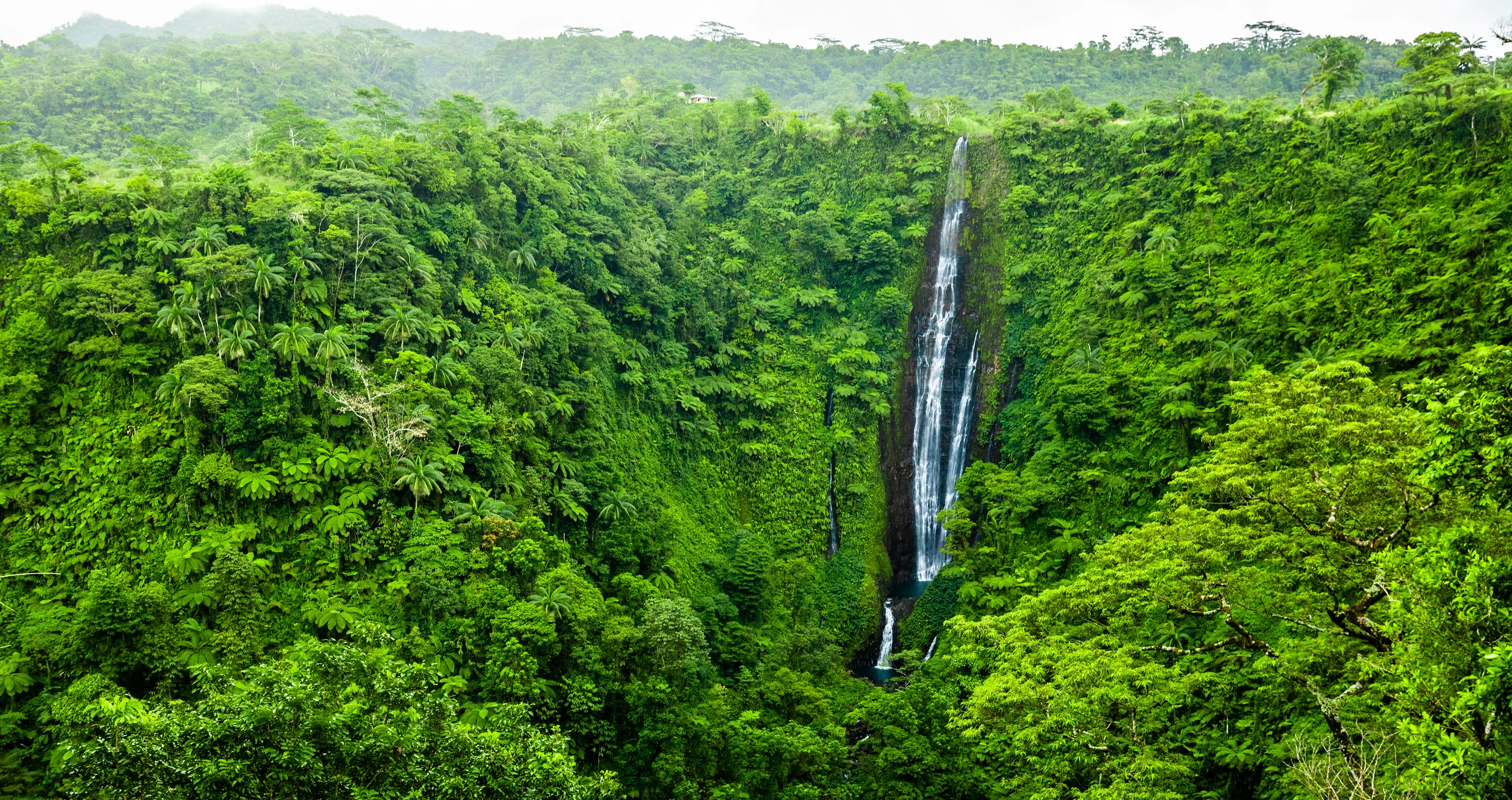 Papapapaitai vattenfall på Upolu, Samoa