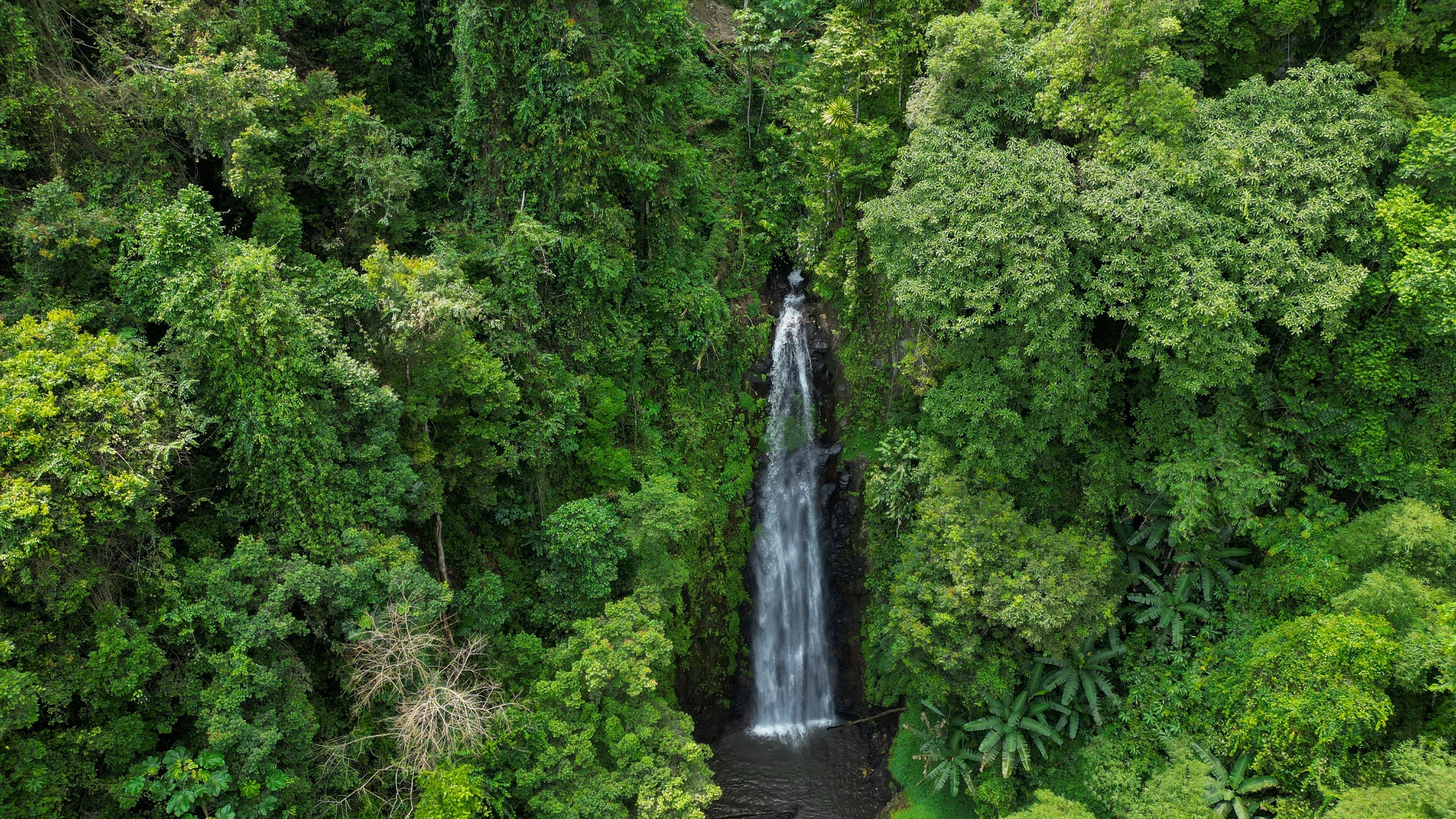 Flygfoto av São Nicolau vattenfall, São Tomé och Príncipe