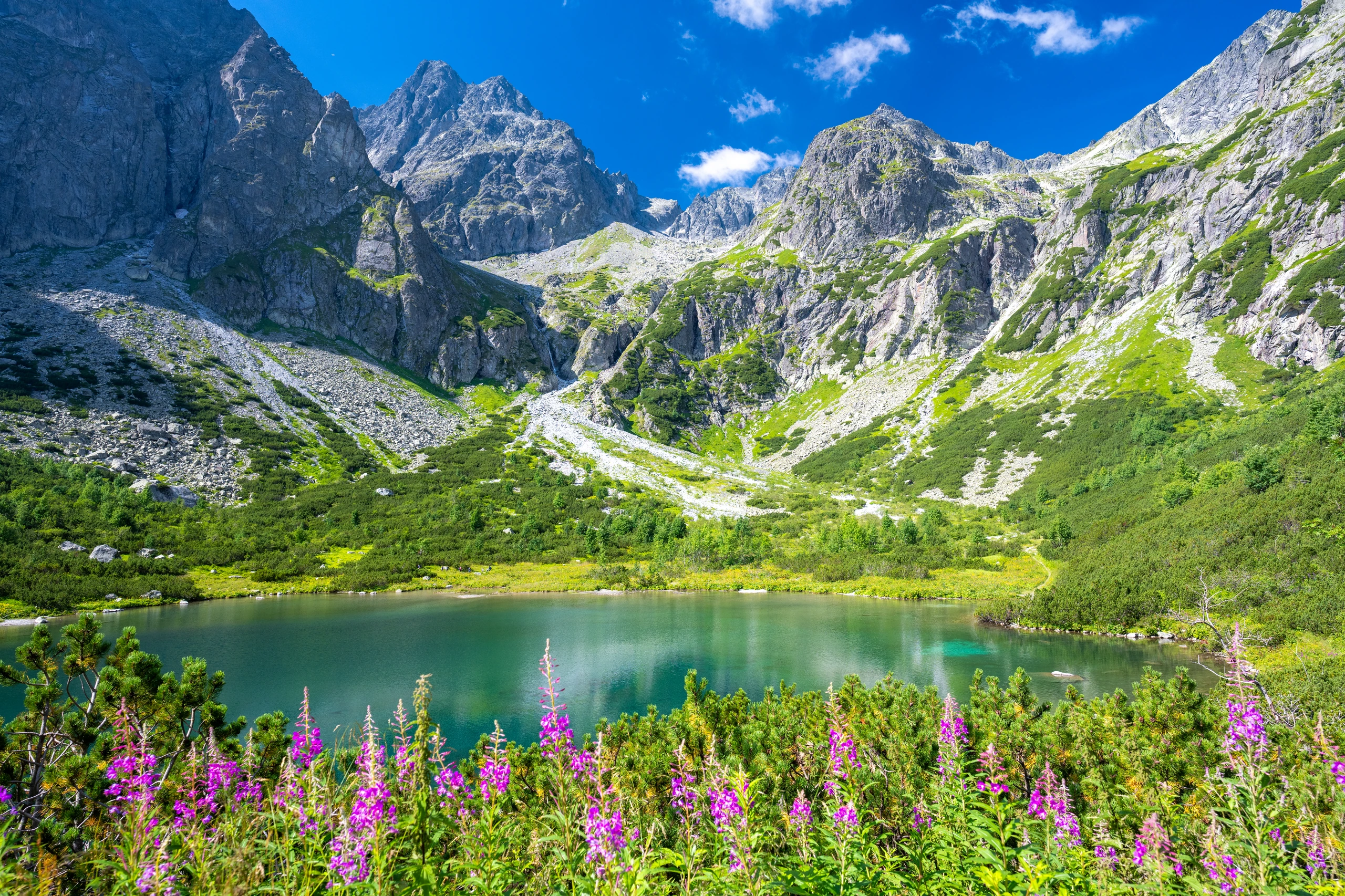 Bergssjö Zelene Pleso i Tatrabergen, Slovakien