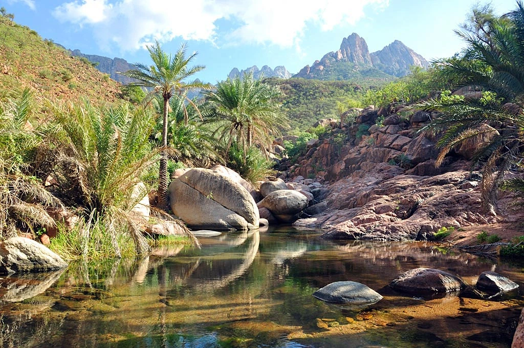 Sokotra, unik natur och växtliv