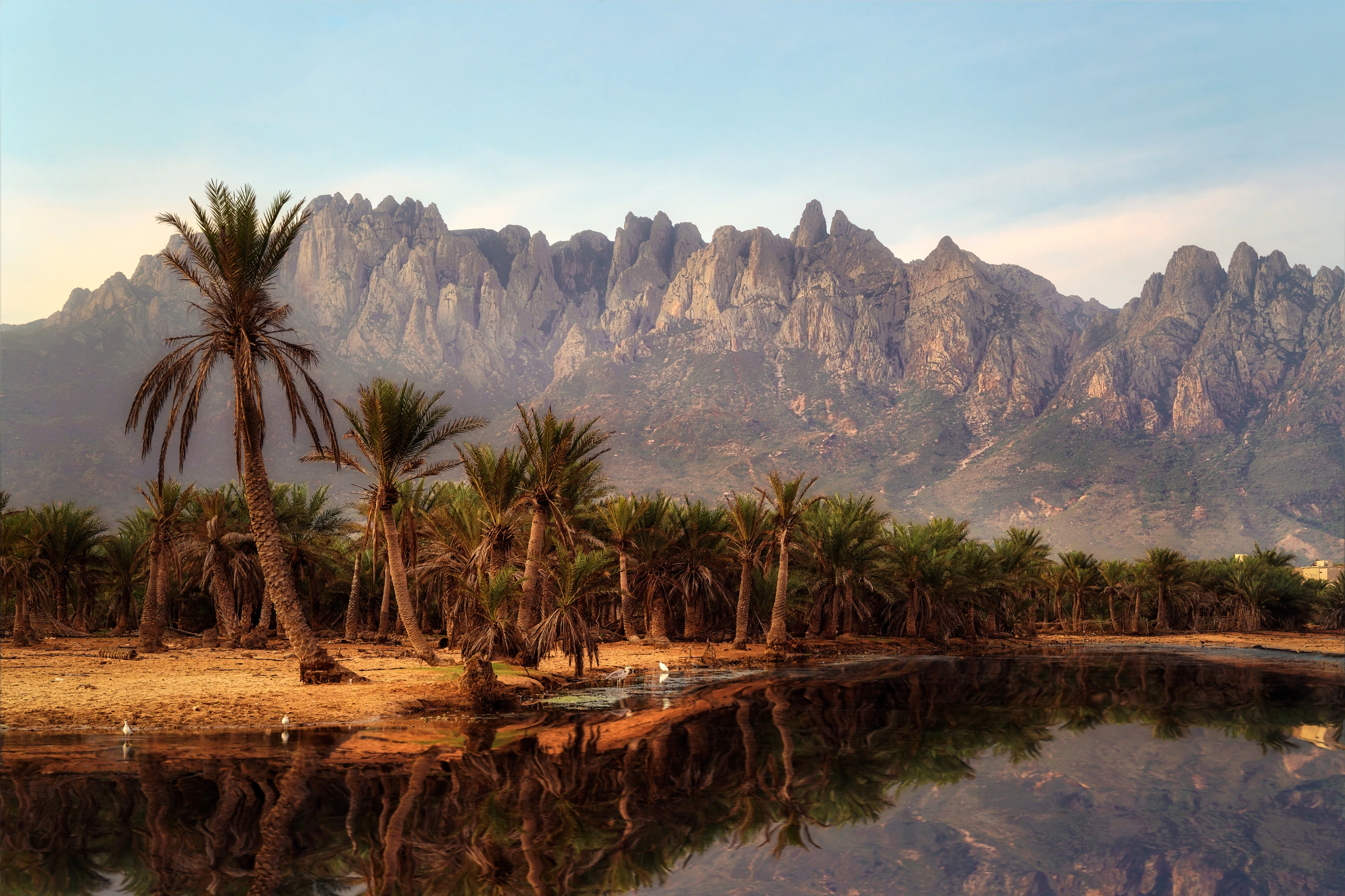 Diksam plateau på Socotra
