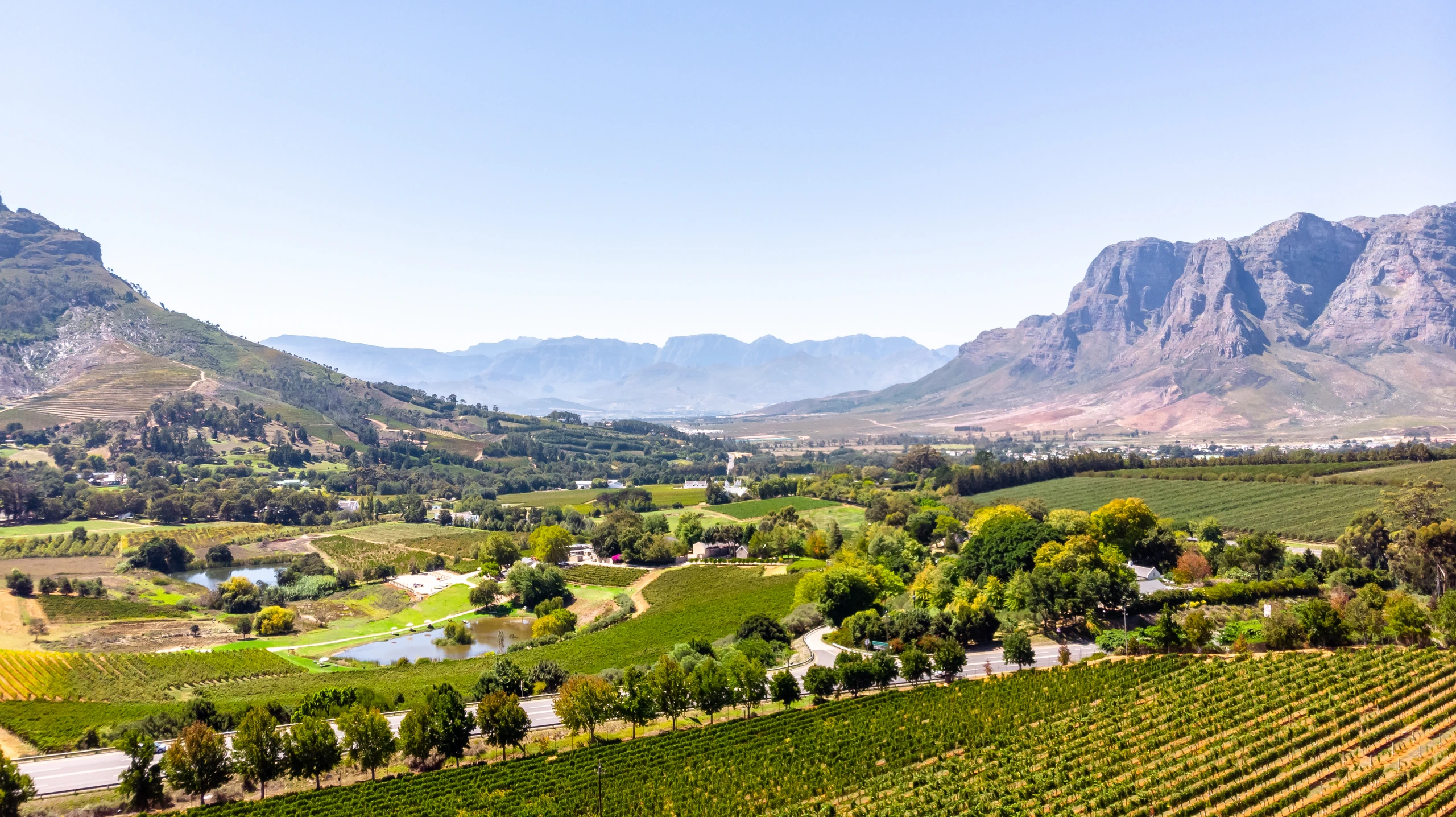 Vinodlingar i Stellenbosch, Sydafrika