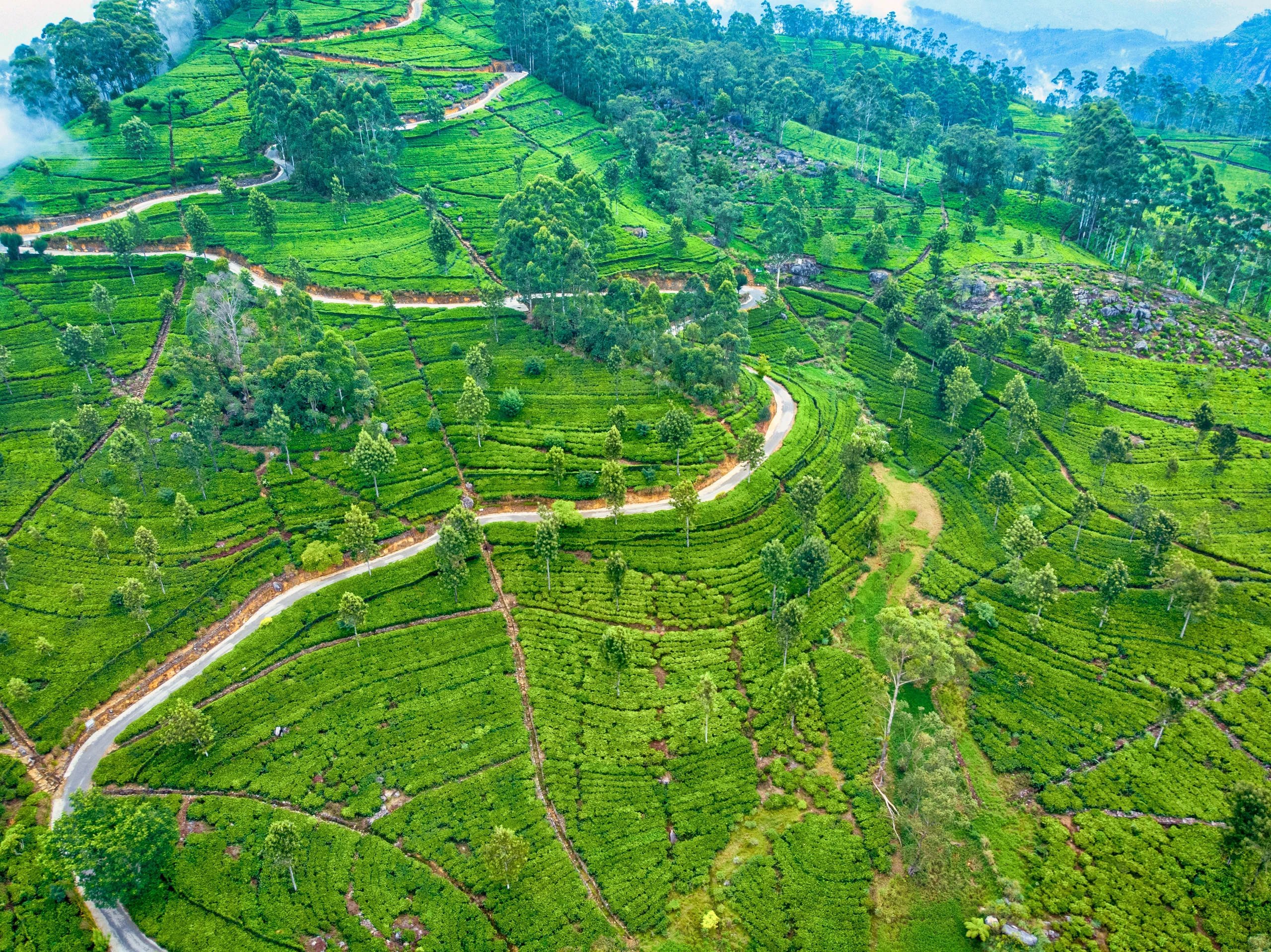 Lipton Seat, Sri Lanka
