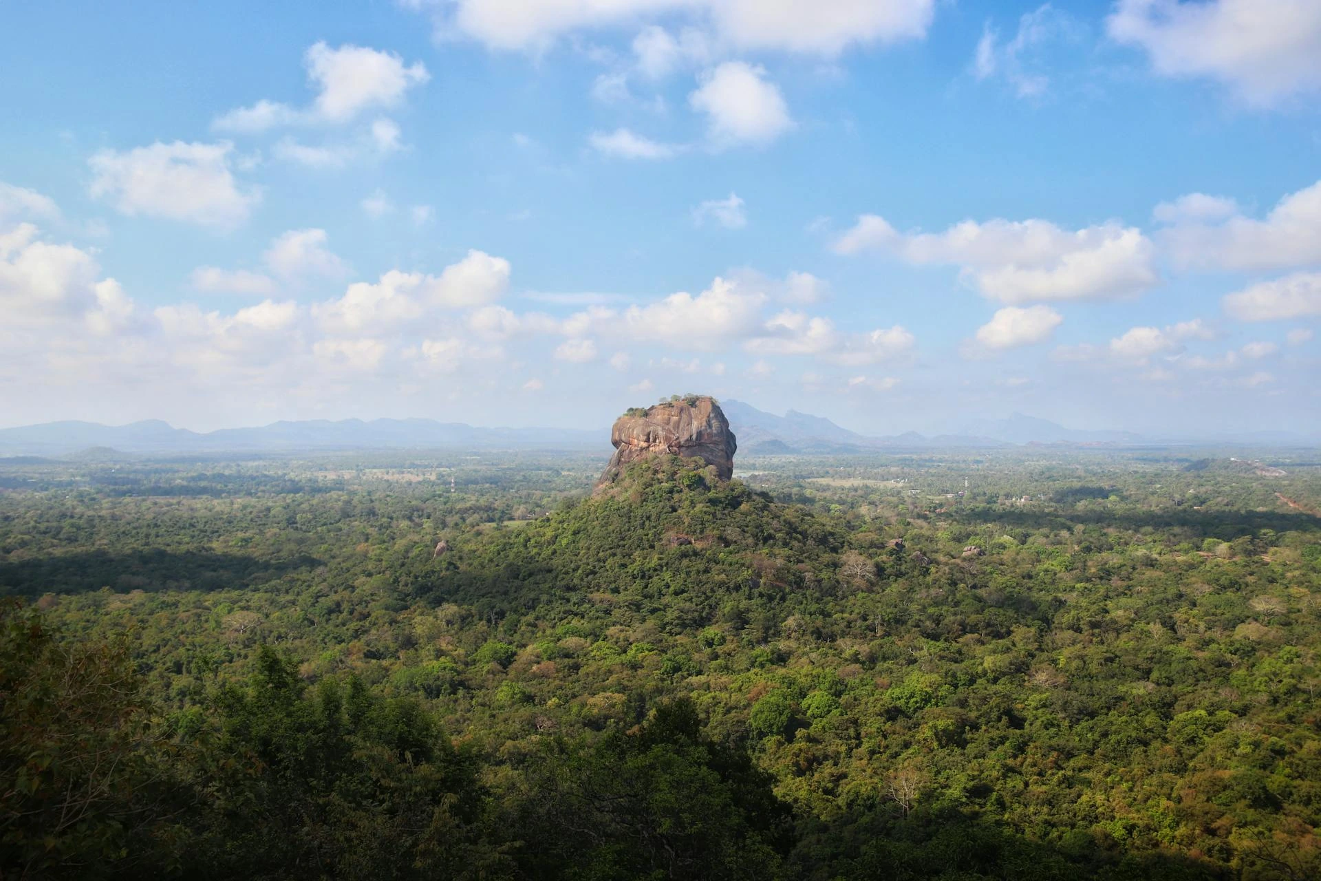 Skog under molnig himmel i Sri Lanka