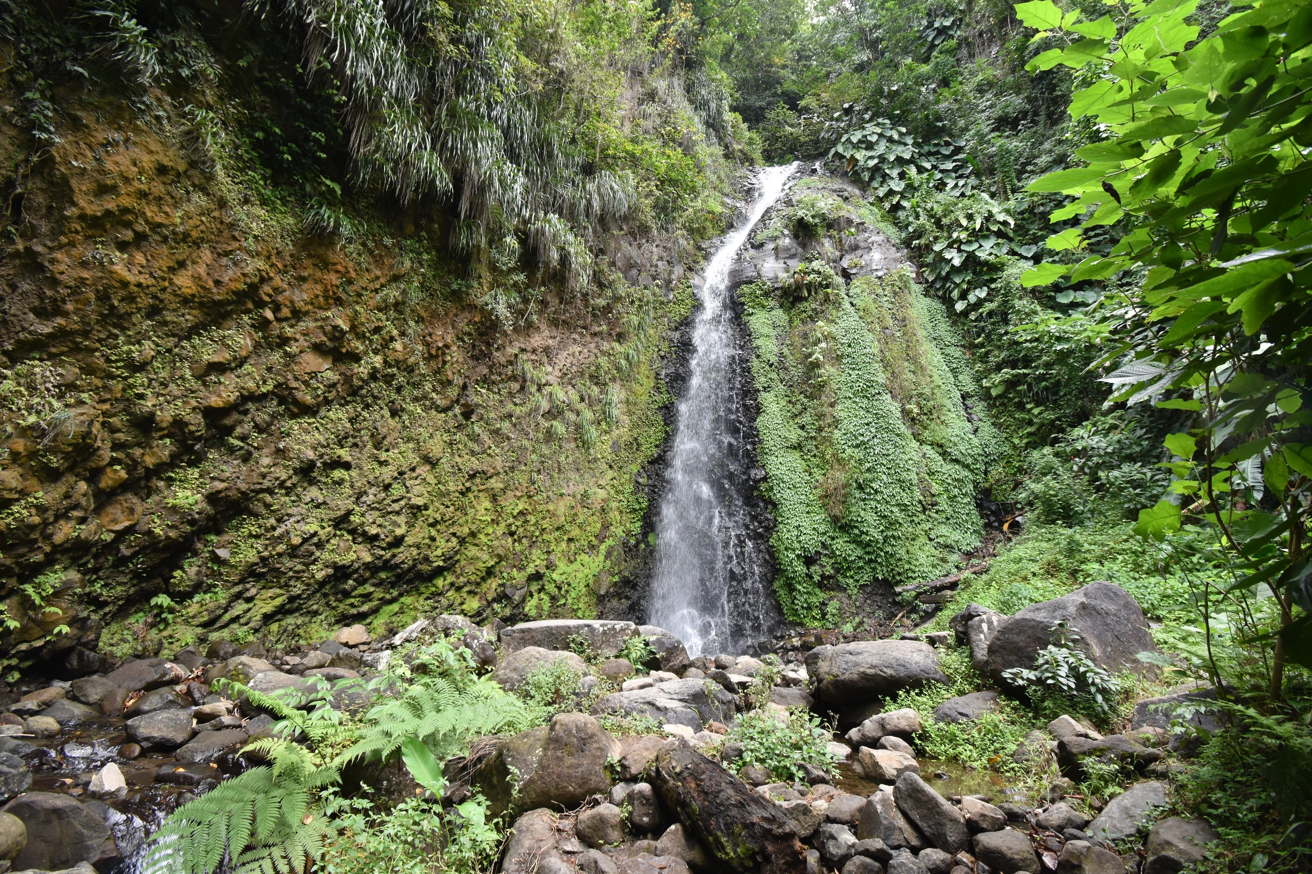 Dark View Falls, St. Vincent, Saint Vincent och Grenadinerna