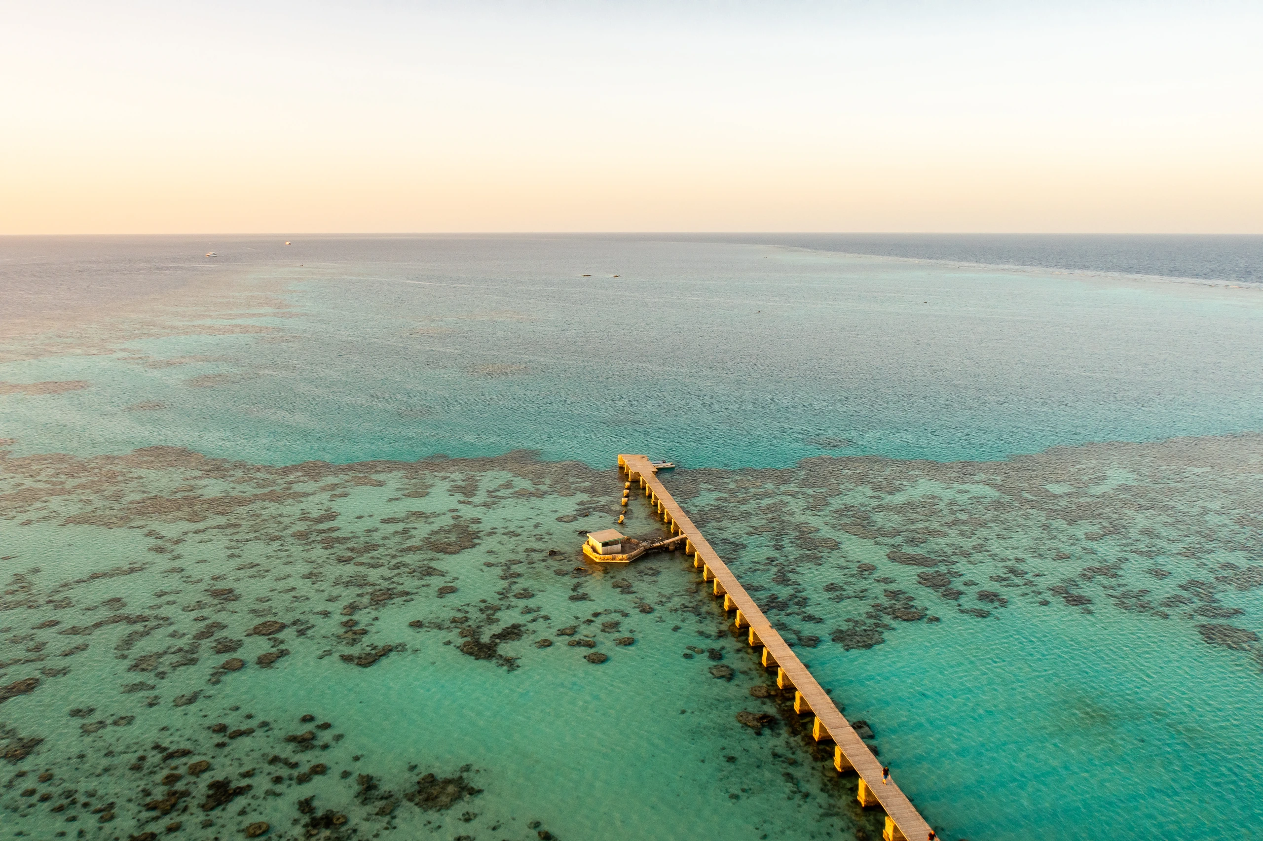 Sanganeb Reef National Park, Sudan