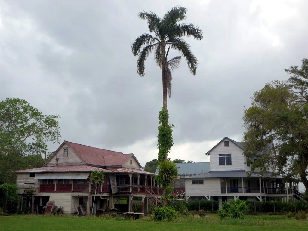 Peperpot i Surinam
