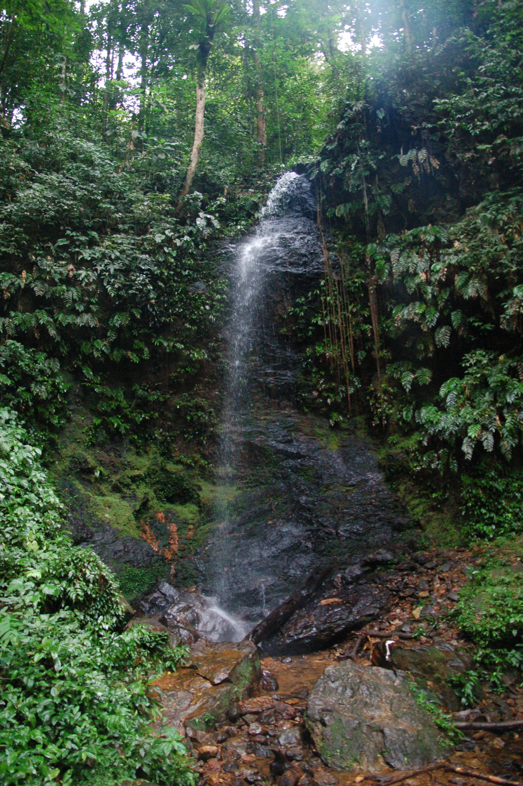 Leo val Brownsberg, Surinam