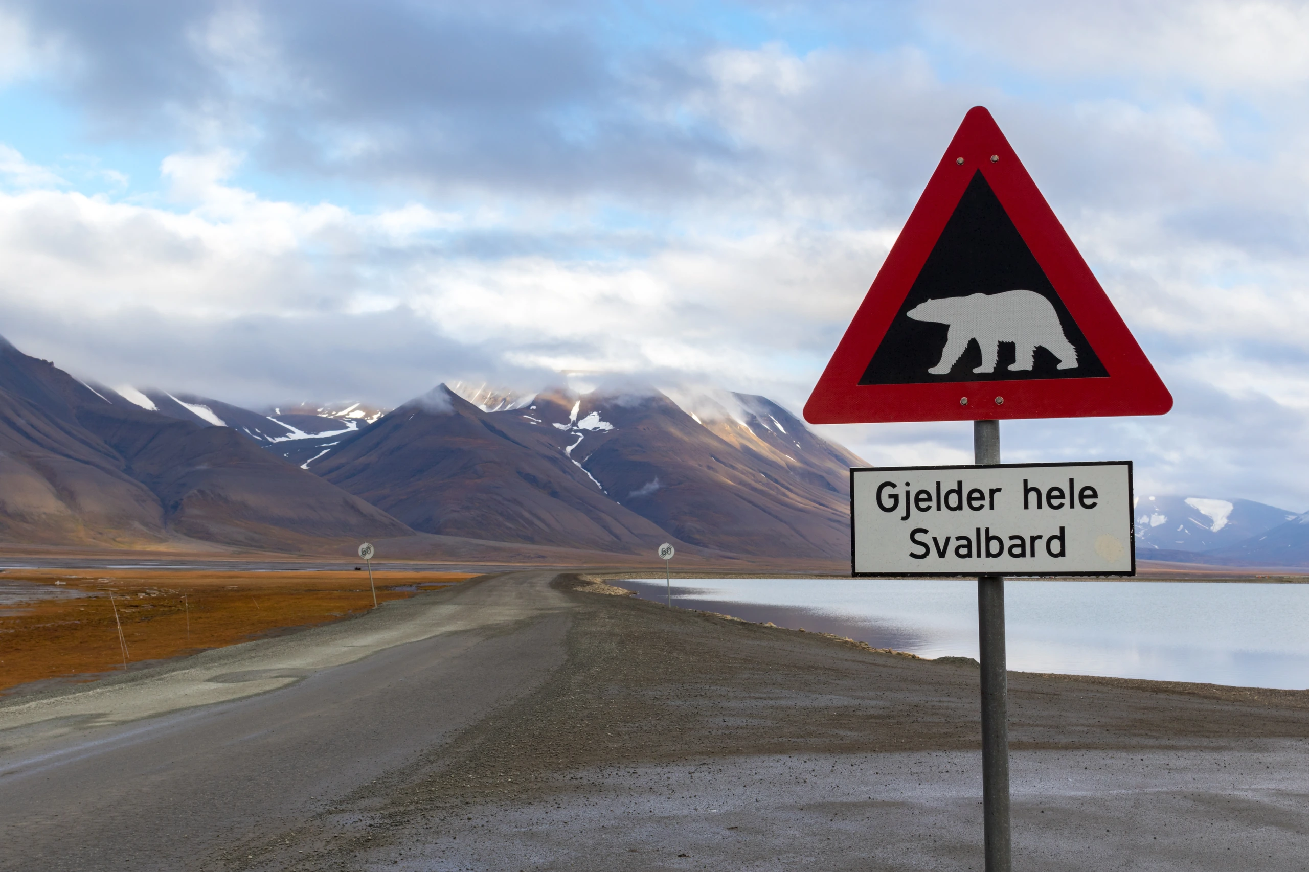 Isbjörn varningstecken i Svalbard