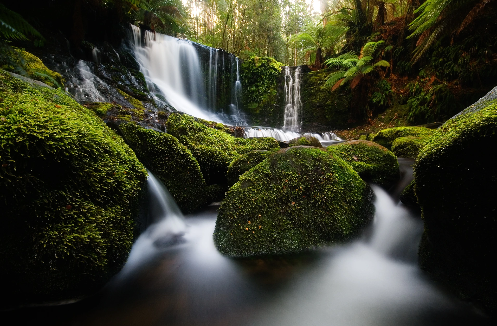 Horseshoe Falls, Mt Field National Park, Tasmanien