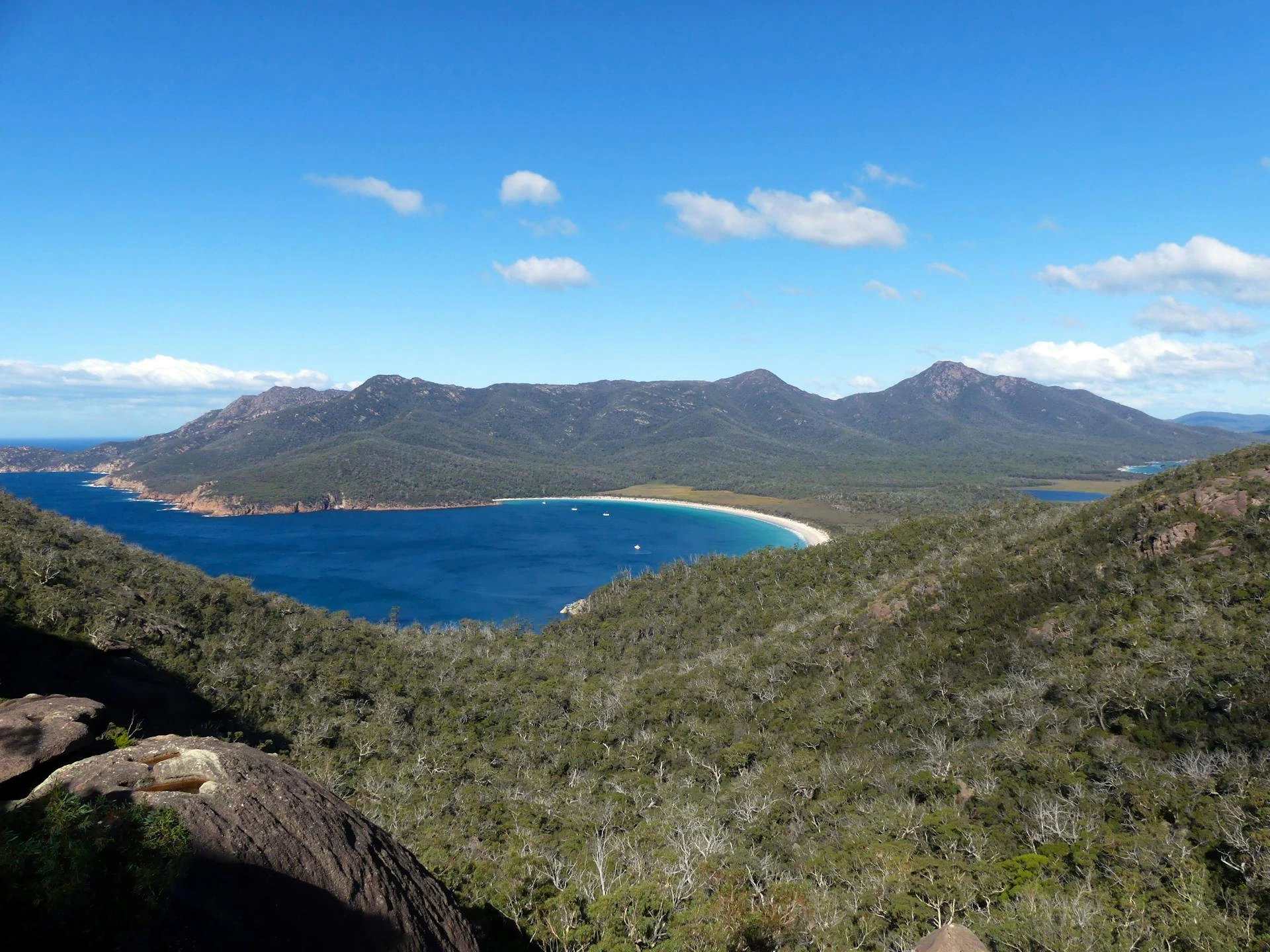 Gröna kullar vid havskusten, Freycinet National Park, Tasmanien