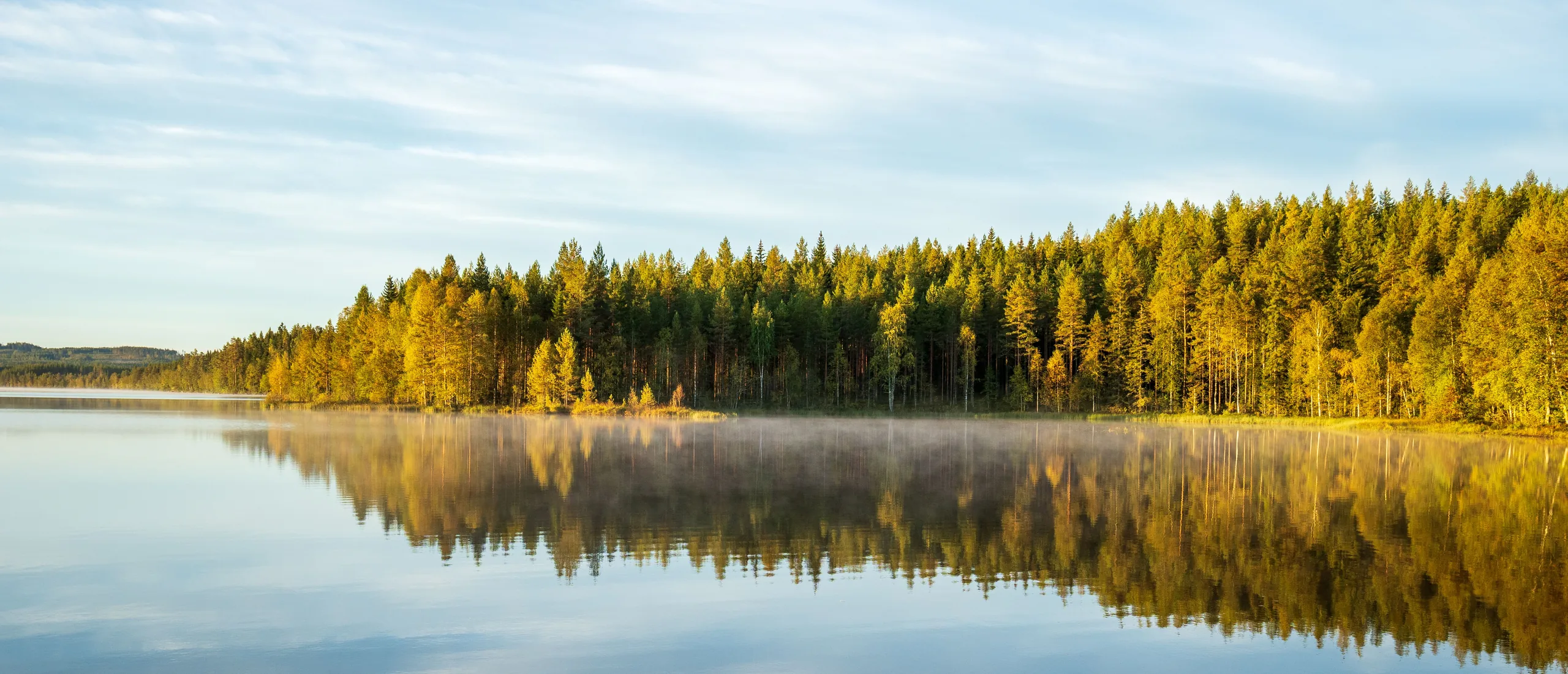 Höstskog vid en spegelblank sjö