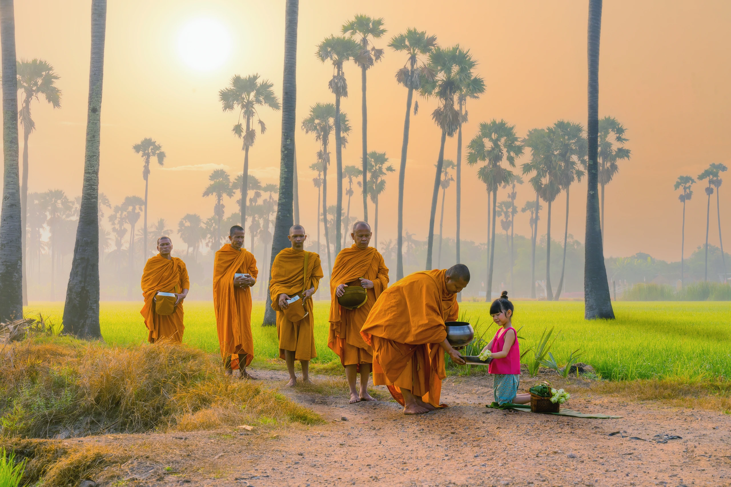 Thailändsk flicka erbjuder mat till munkar, Thailand