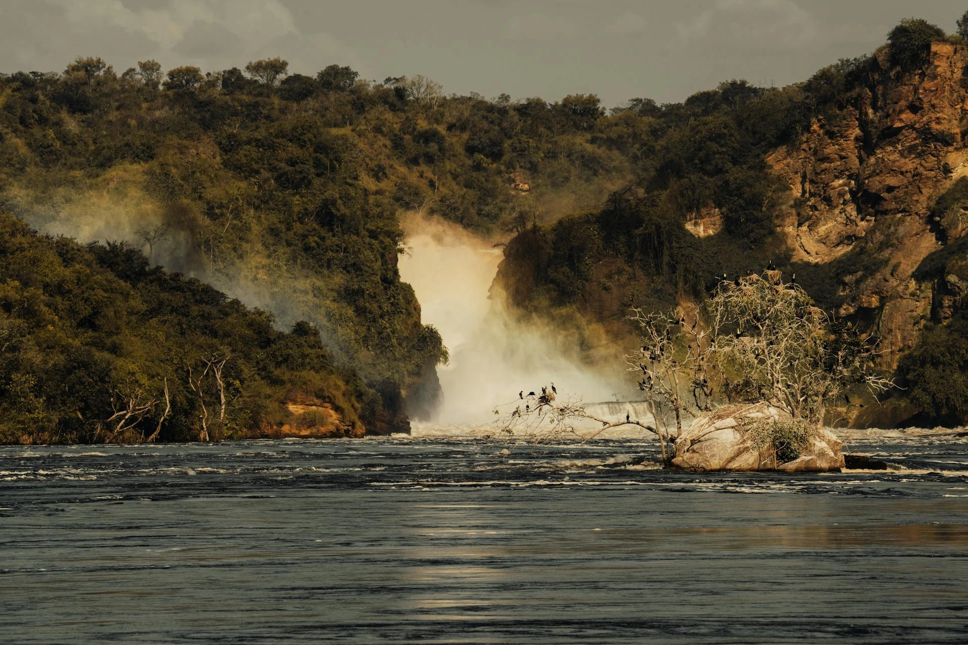 Vattenfall i Ugandas frodiga skog