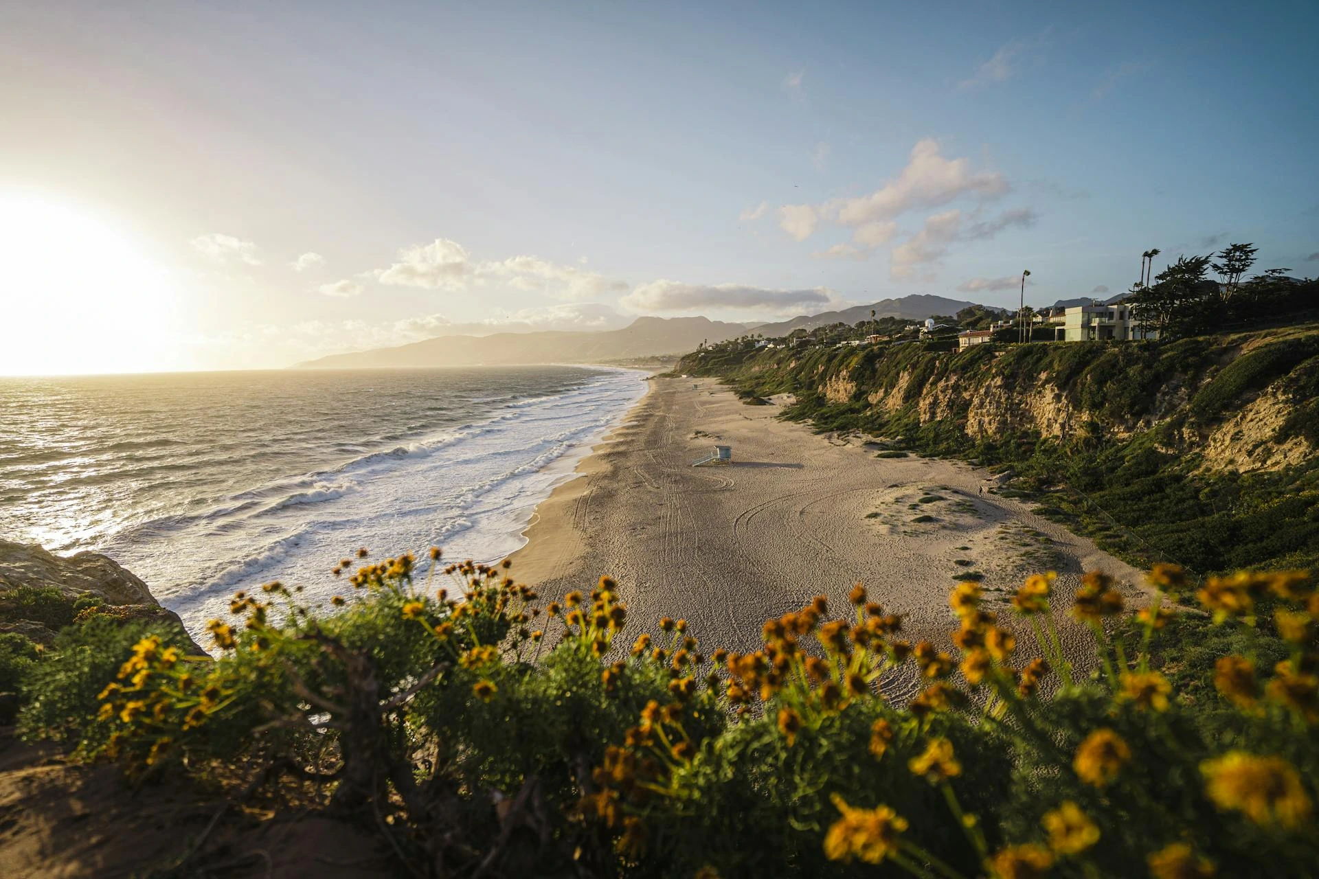 Strand med blommor och solnedgång, USA