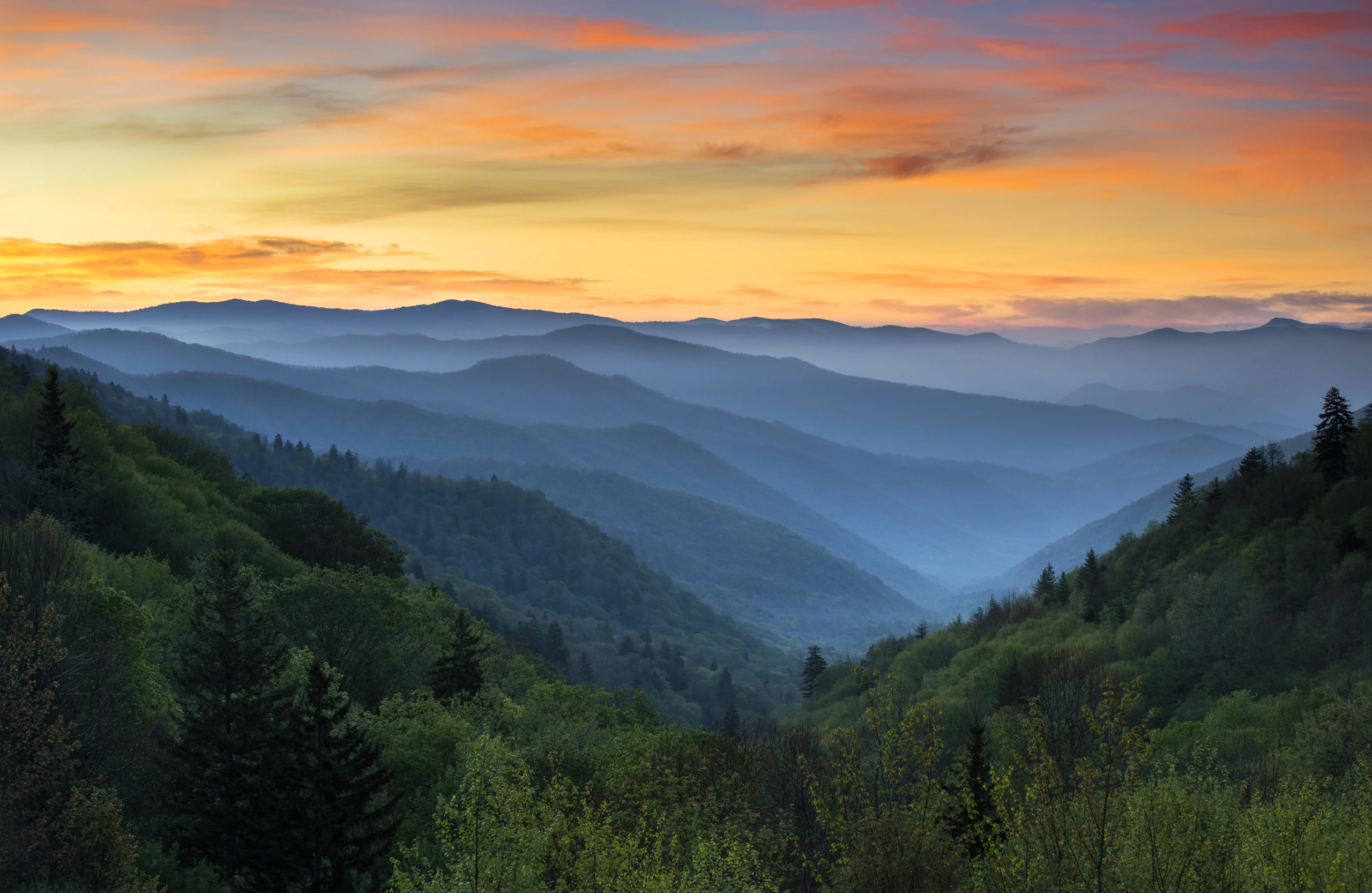 Soluppgång i Great Smoky Mountains, USA