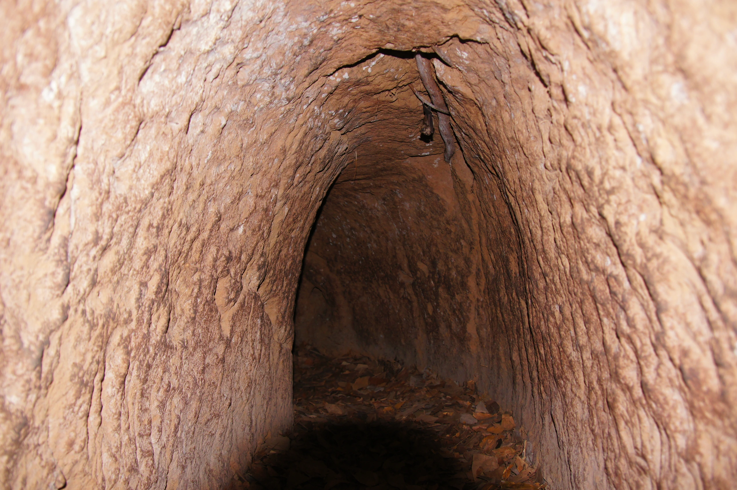 Cu Chi-tunnlarna, Vietnam