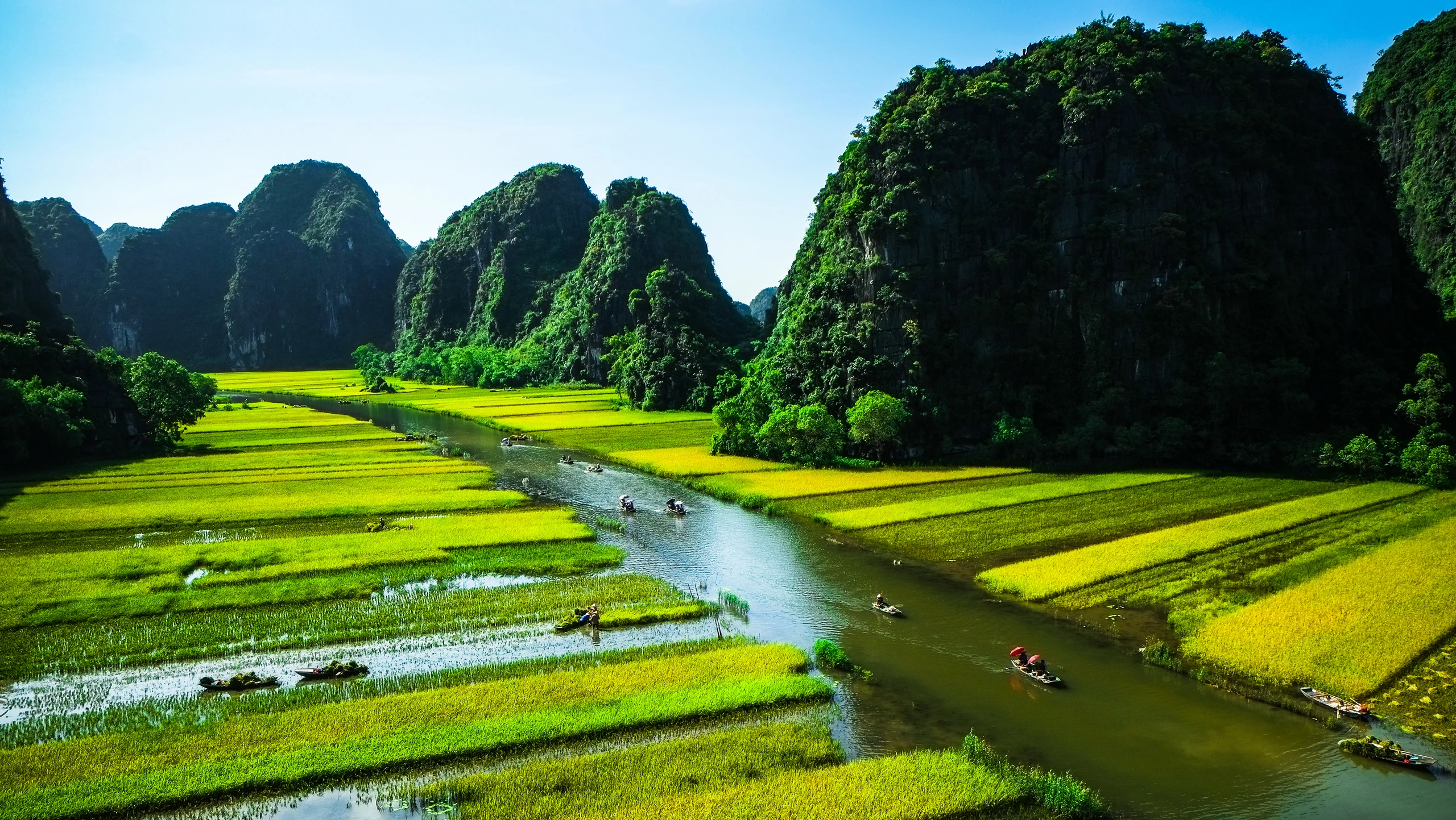 Risfält och flod i Ninh Binh, Vietnam