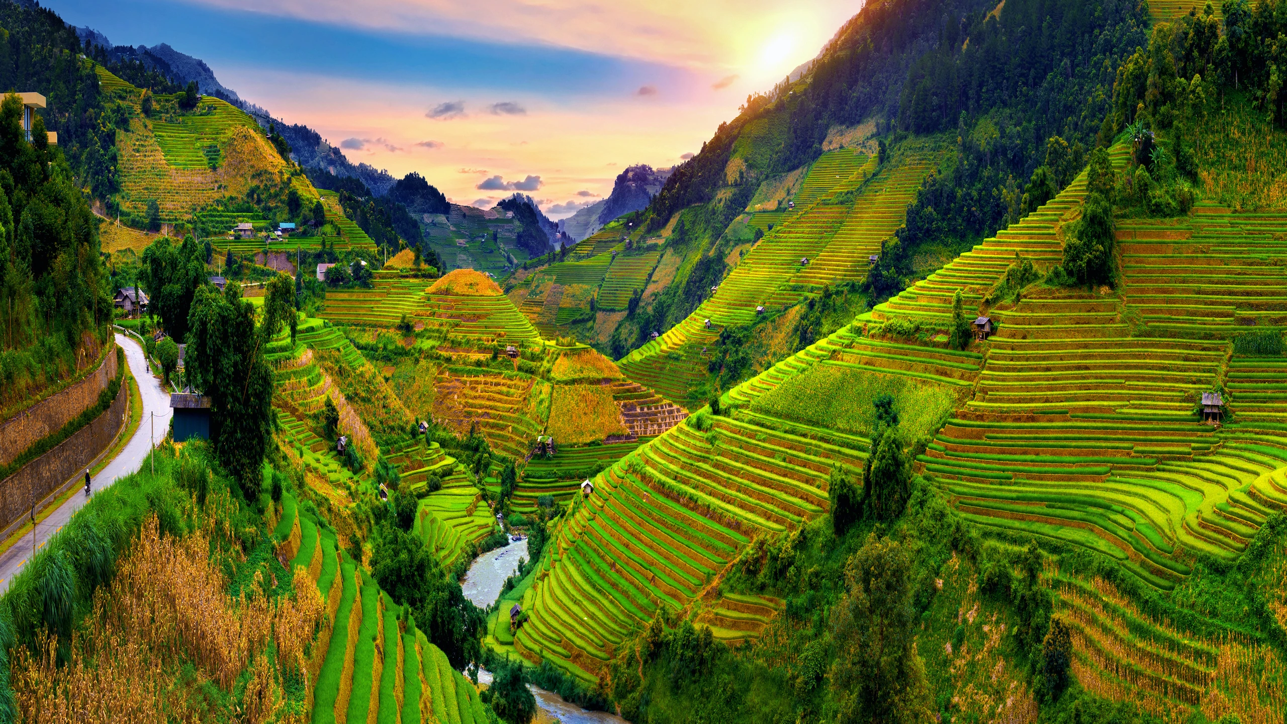 Risfält i Mu Cang Chai, Vietnam